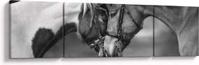 Obraz - Zakochane konie, czarno - biały (170x50 cm)