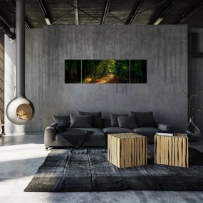 Obraz leśnej ścieżki (170x50 cm)