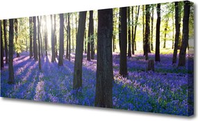 Zdjęcie na płótnie Gęsta Korona Drzew