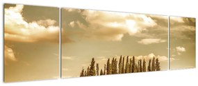 Obraz leśnej łąki (170x50 cm)