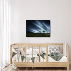 Obraz zorzy polarnej nad wrzosowiskami (70x50 cm)