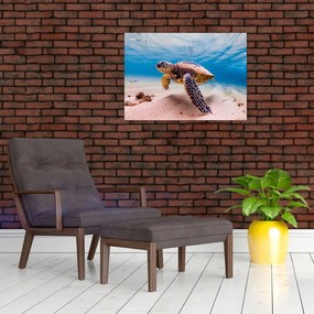 Obraz na szkle żółwia w oceanie (70x50 cm)