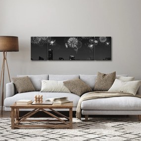 Obraz - Fajerwerki w Miami, czarno - białe (170x50 cm)