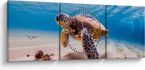 Obraz żółwia w oceanie (z zegarem) (90x30 cm)