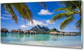 Panel do kuchni Palmy na Bora Bora