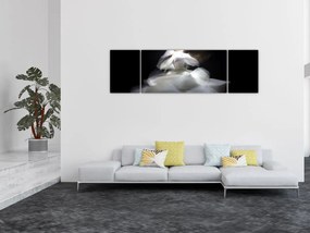 Obraz kwiatu lotosu (170x50 cm)