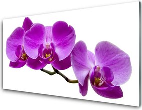 Panel Szklany Kompozycja Świeżych Kwiatów