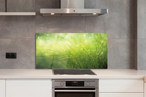 Szklany Panel Świeżość Rosy na Trawie