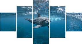 Obraz - Delfin pod wodą (125x70 cm)