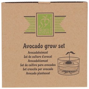 Szklana miska do kiełkowania ø 14 cm Avocado – Esschert Design