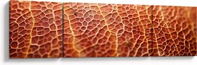 Obraz - Szczegóły tekstury (170x50 cm)