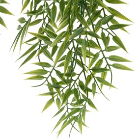 Bambus wiszący w doniczce LIORA, 67 cm