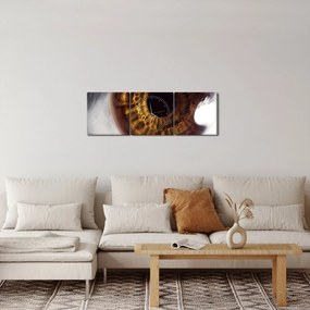 Obraz - Oko (z zegarem) (90x30 cm)