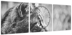 Obraz - Kot (z zegarem) (90x30 cm)