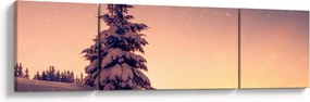 Obraz ośnieżonego drzewa na łące (170x50 cm)