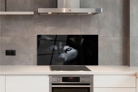 Panel Szklany Spojrzenie Dzikiego Wilka