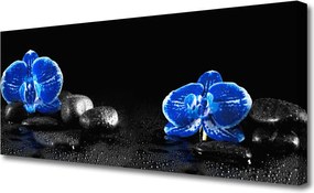 Obraz na płótnie Kwiat Lotosu na Kamieniach