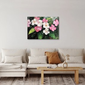 Obraz - Różowe i białe kwiaty (70x50 cm)