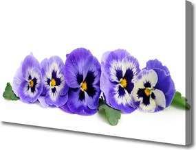 Obraz canvas Monumentalne Pasmo Górskie