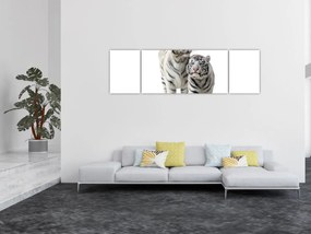 Obraz - Biały Tygrys (170x50 cm)