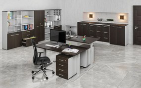 Szafa biurowa z drzwiami PRIMO GRAY, 800 x 420 x 1434 mm, szary/wenge