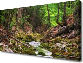 Obraz canvas Głęboka Zieleń Leśnego Mchu