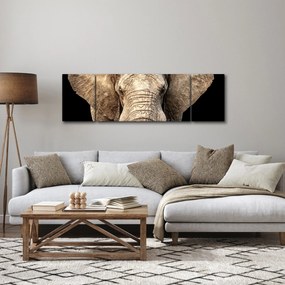 Obraz - Słoń afrykański (170x50 cm)