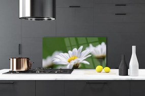 Szkło Ozdobne do Kuchni Delikatna Stokrotka Polna