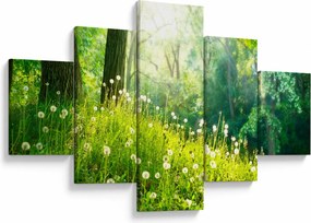 Obraz - Magiczna łąka pełna mniszków lekarskich (125x70 cm)