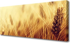 Obraz canvas Kłosy Pszenicy na Wietrze