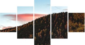Obraz rudzików nad wzgórzem (125x70 cm)