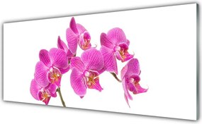 Szkło nad Blatem Delikatność Kwitnącej Orchidei