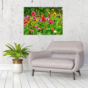 Obraz kwiatów polnych (70x50 cm)