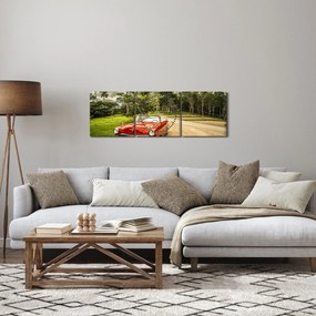 Obraz - zabytkowy samochód w przyrodzie (z zegarem) (90x30 cm)