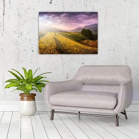 Obraz na szkle krajobrazu (70x50 cm)