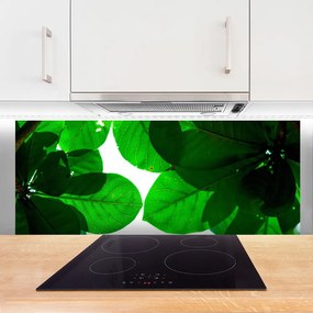 Panel Kuchenny Stylowy Motyw Botaniczny