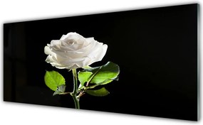 Panel Szklany Herbaciana Róża W Ogrodzie