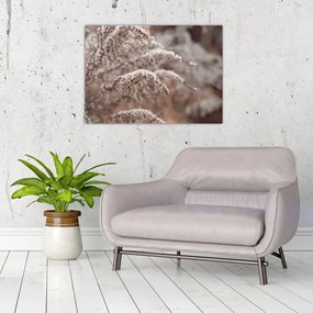 Obraz na szkle roślin (70x50 cm)