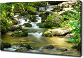 Foto obraz canvas Wodospad