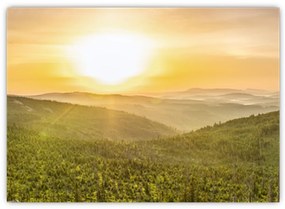 Obraz panoramiczny (70x50 cm)