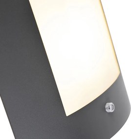 Lampa ścienna zewnętrzna antracytowa IP44 czujnik zmierzchu - Emmerald