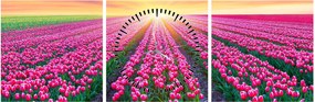 Obraz pole tulipanów ze słońcem (z zegarem) (90x30 cm)