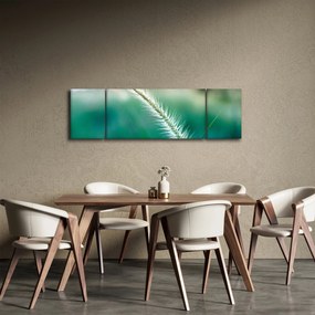 Obraz źdźbła trawy (170x50 cm)
