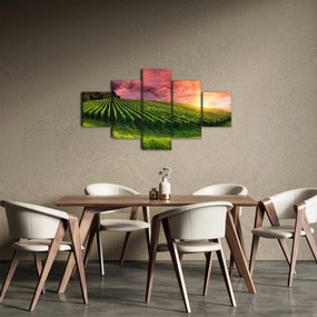 Obraz winnicy z kolorowym niebem (125x70 cm)
