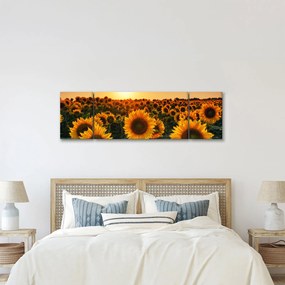 Obraz - Słonecznik (170x50 cm)
