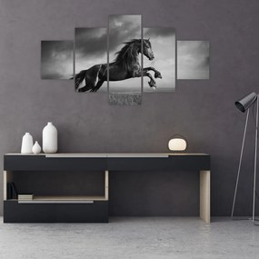 Obraz - Czarny i biały koń (125x70 cm)