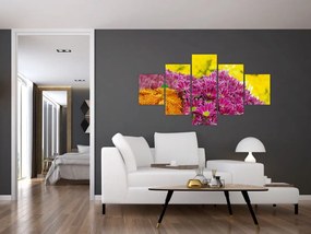 Obraz różowego kwiatu (125x70 cm)