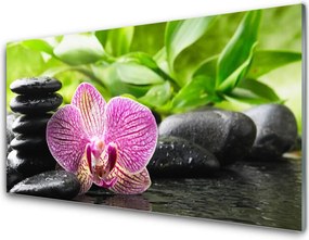 Panel Szklany do Kuchni Harmonijne Połączenie Zen