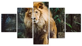 Obraz lwa w naturze (125x70 cm)
