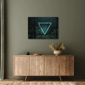 Obraz - Neonowy trójkąt w dżungli (70x50 cm)